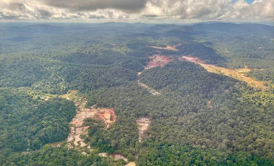 COP28 Chefe da ONU anuncia painel sobre gestão de minerais essenciais