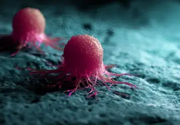 Técnica permite enxergar interior de células cancerígenas