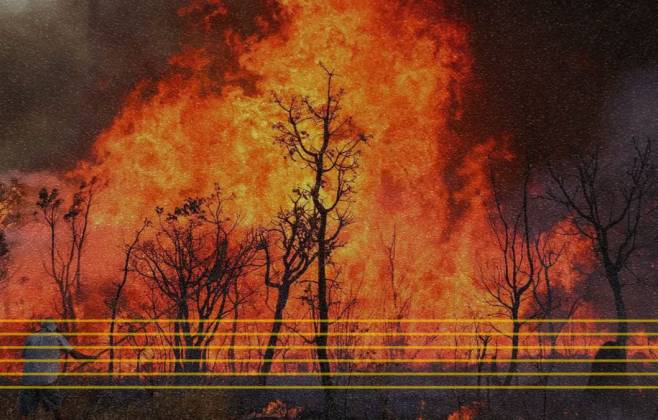 Plano Climático do DF ignora questões como queimadas e incêndios