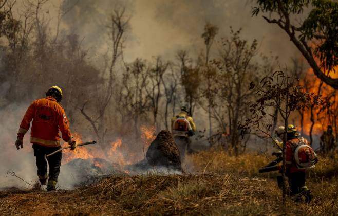 Enquanto o Brasil queima, o agro foge de ter metas climáticas mais ambiciosas